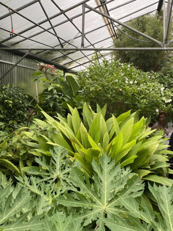 Green Hotel - Maravel Botanical Garden Spilion Екстер'єр фото